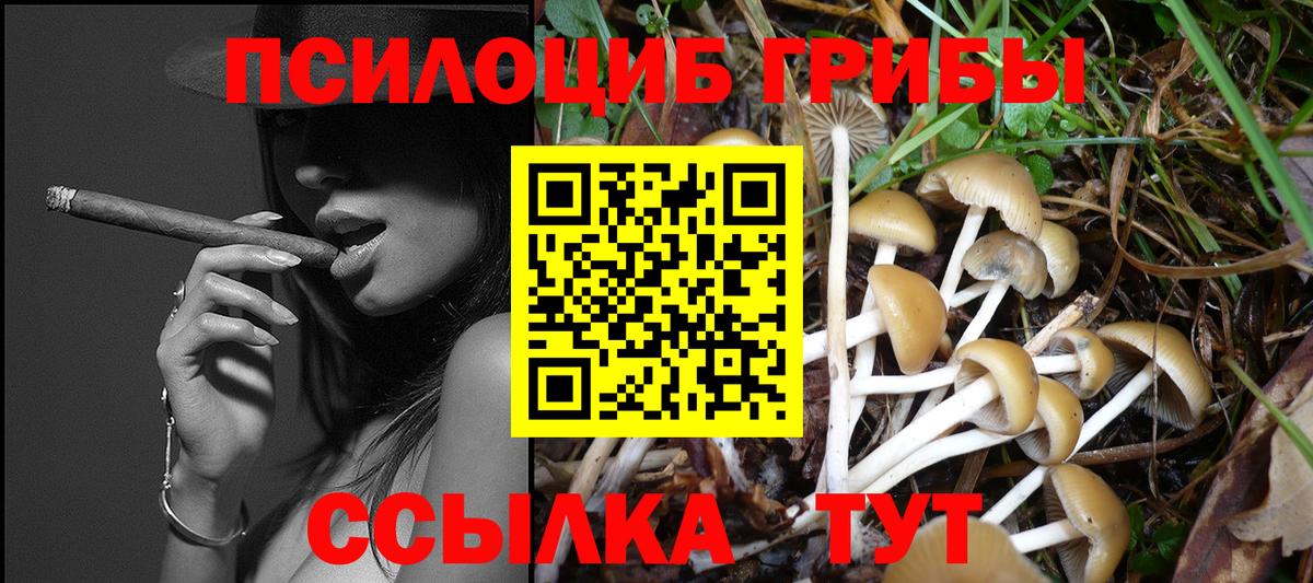 Псилоцибиновые грибы Psilocybe  Вход с VPN  Псилоцибиновые грибы мицелий  Алатырь 